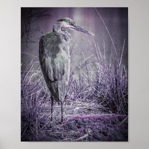 Purple Heron Poster