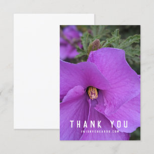 Purple Hibiscus Flower Closeup