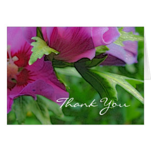 Purple hisbiscus flowers