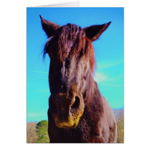 Purple Horse w/ Green Mouth