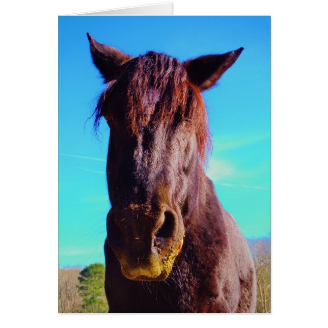 Purple Horse w/ Green Mouth (Front)