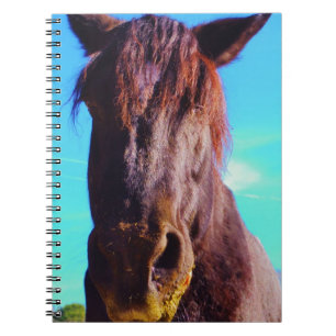Purple Horse w/ Green Mouth Notebook