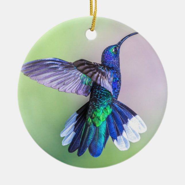 Purple Hummingbird Flying Monogram Name Ceramic Ornament (Front)