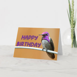 Purple Hummingbird Photo Happy Birthday Card