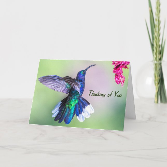 Purple Hummingbird Thinking of You Card (Front)