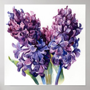 Purple Hyacinth Flower Art Print Poster