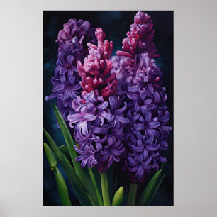 Purple Hyacinth Flower Art Print Poster