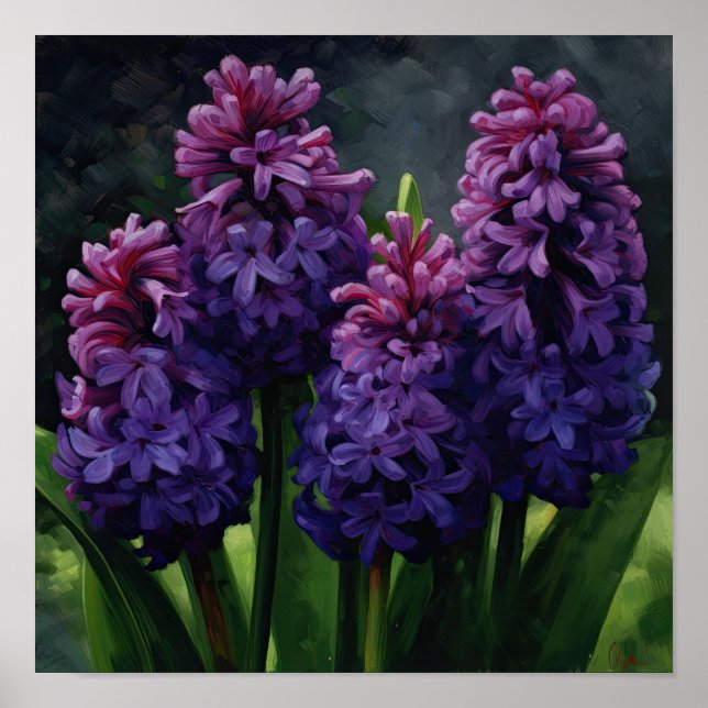 Purple Hyacinth Flower Art Print Poster (Front)