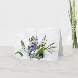 Purple Hyacinth in Snow Encouragement Card