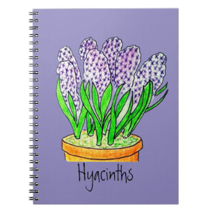 Purple Hyacinths in a Planter  Notebook