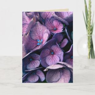 Purple Hydrangea Blank Greeting Card
