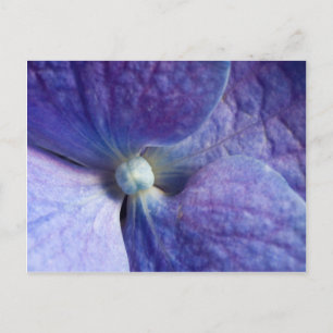 Purple Hydrangea Event And Wedding Announcement