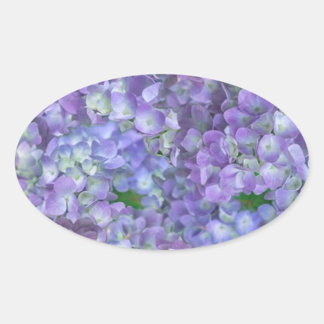 Purple hydrangea flowers oval sticker (Front)