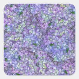 Purple hydrangea flowers square sticker