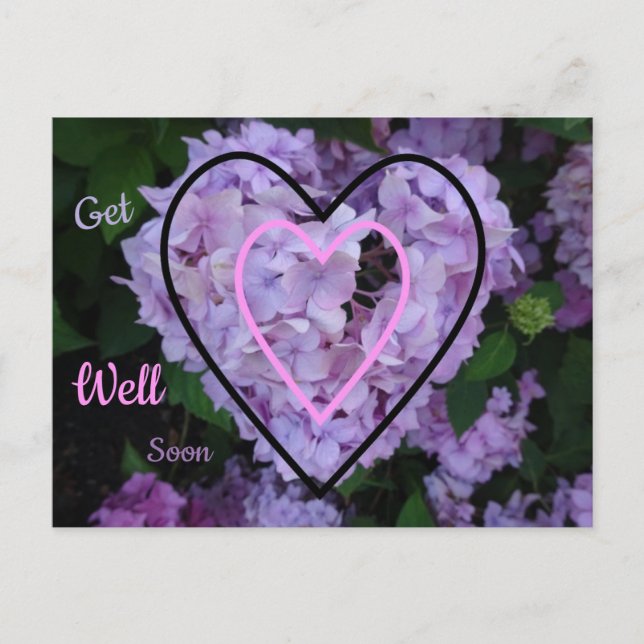 Purple Hydrangea in Hearts Get Well Soon Postcard (Front)