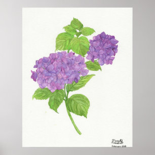 Purple Hydrangea Poster