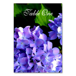 Purple hydrangea purple flower Purple floral Table Number