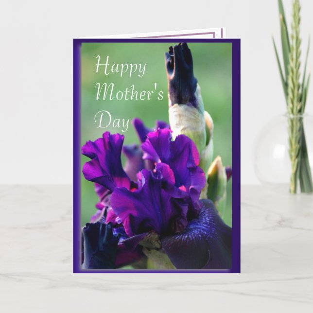 Purple Iris 2914xc- customise any occasion Card (Front)