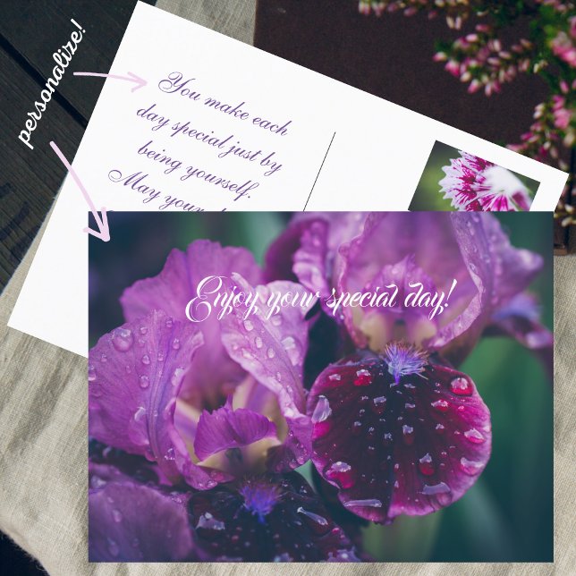 Purple iris after rain postcard (Creator Uploaded)