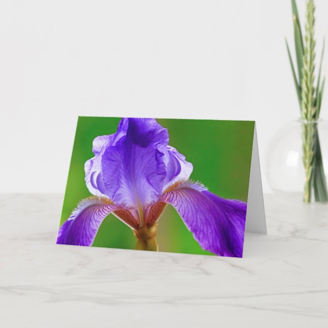Purple Iris Birthday Card (Front)