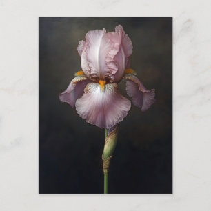Purple Iris Botanical Painting Postcard