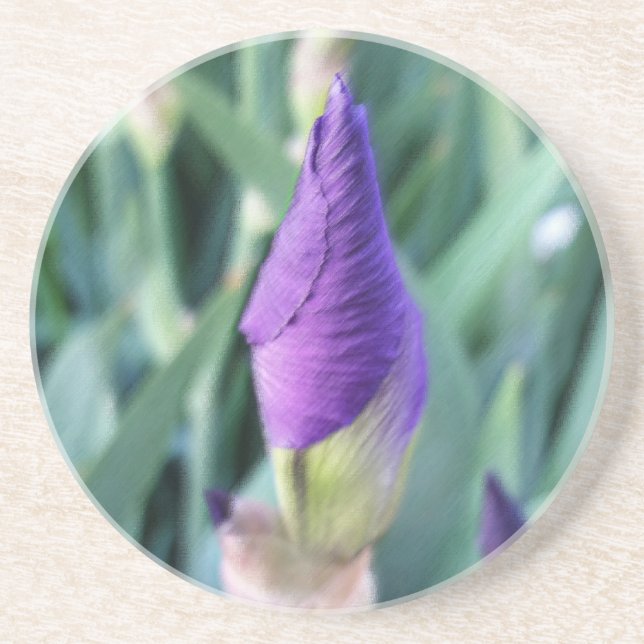 purple iris bud coaster (Front)