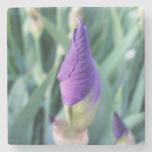 purple iris bud stone coaster