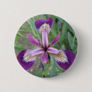 Purple Iris Button