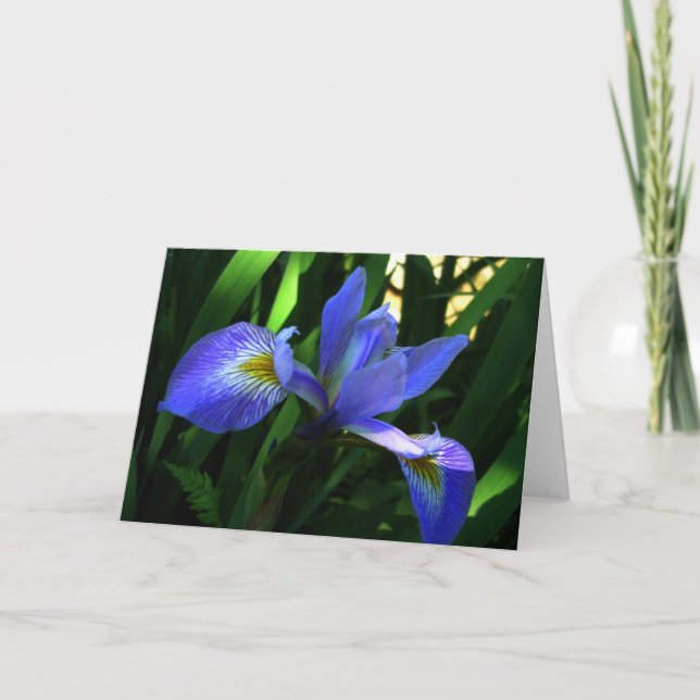 Purple Iris Card (Front)