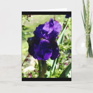 Purple Iris Card