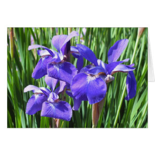 Purple Iris Card *Customise*