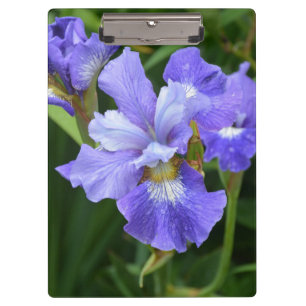 Purple iris clipboard