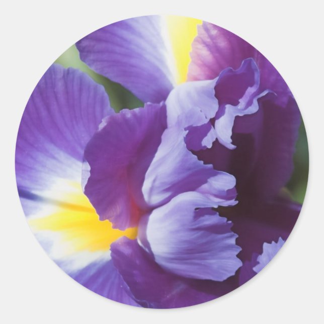 purple iris close up classic round sticker (Front)