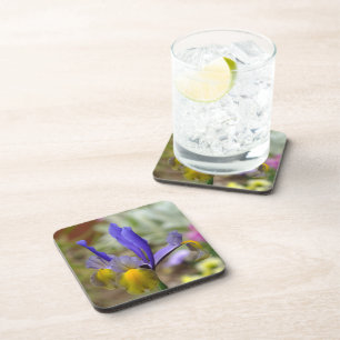 Purple Iris Coaster