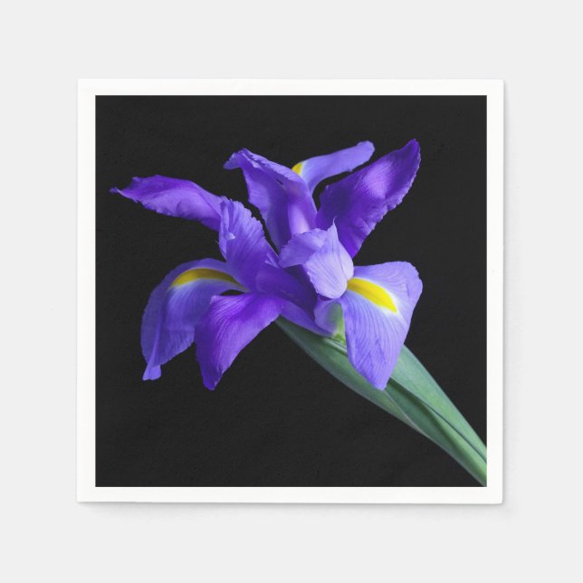 Purple Iris Cocktail Napkin (Front)