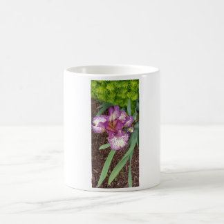Purple Iris Coffee Mug