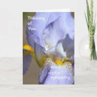 Purple Iris Deepest Sympathy