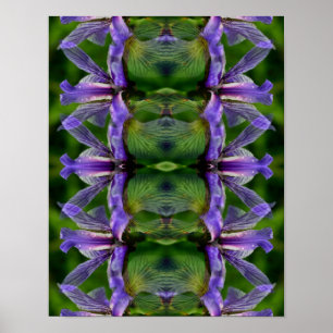 Purple Iris Flower Abstract            Poster