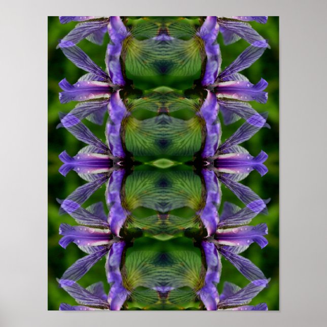 Purple Iris Flower Abstract            Poster (Front)