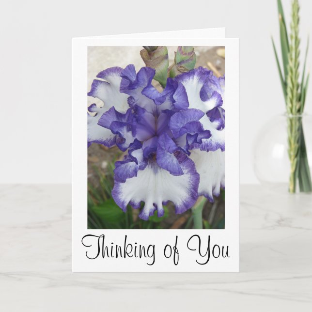 Purple Iris Flower Card, Thinking of You Card (Front)