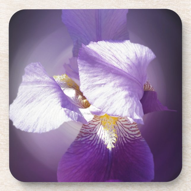 purple iris flower coaster (Front)