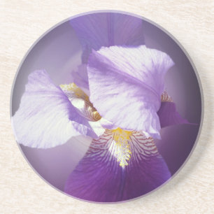 purple iris flower coaster