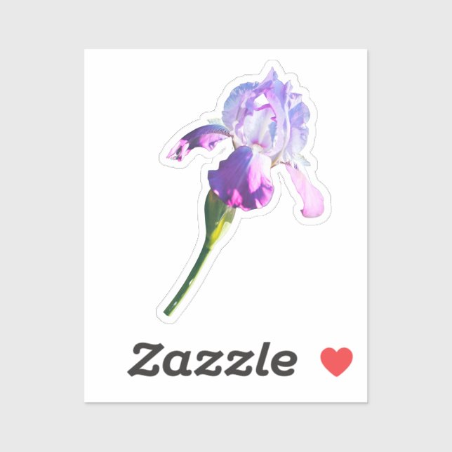 Purple Iris Flower | February Birth Flower  (Sheet)