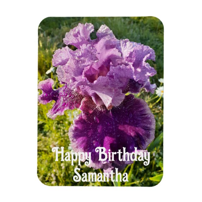 Purple Iris Flower Garden floral Birthday Magnet (Vertical)