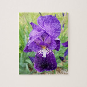 Purple Iris Flower Jigsaw Puzzle