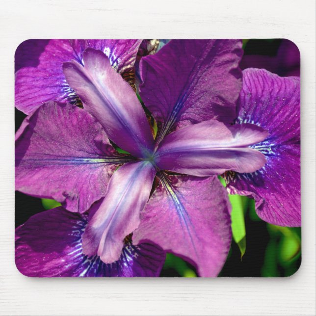Purple iris flower mouse pad (Front)