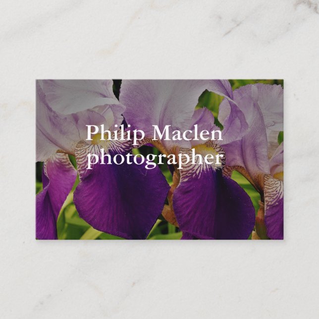 Purple Iris Flower Photo Standard Matte Business Card (Front)