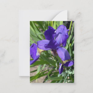 Purple Iris Flower Photograph  Card