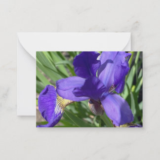 Purple Iris Flower Photograph  Card