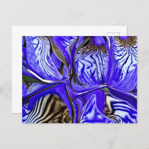 Purple Iris Flower Postcard